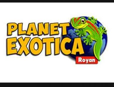 Planet Exotica à Royan (17) – Nouvelle Aquitaine